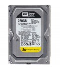 Western Digital WD2503ABYX-01WERA1 RE4 64MB 7200rpm 250gb 3.5" Sata hard drive