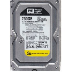 Western Digital WD2503ABYX-01WERA1 RE4 64MB 7200rpm 250gb 3.5" Sata hard drive